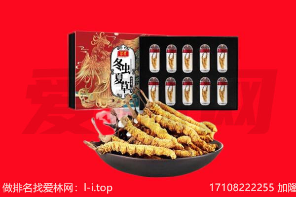 凤冈县回收虫草.jpg